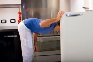 Save energy - close the refrigerator