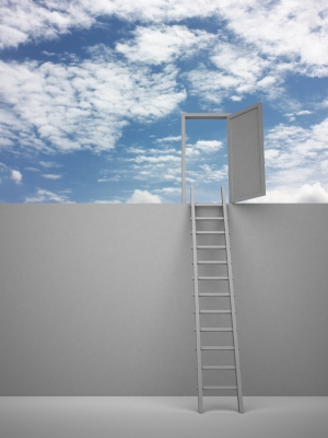 Climbing the corporate ladder