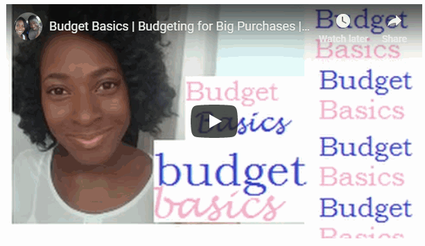 Big Purchase Budget