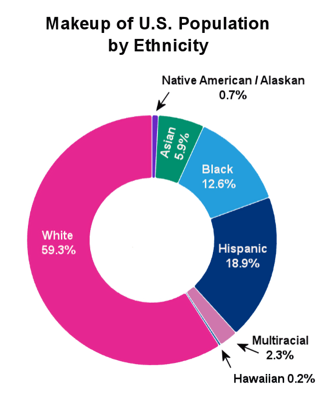 US Population Ethnicity