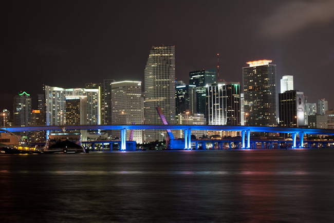 Miami Night Skyline